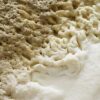 Yeast-Header